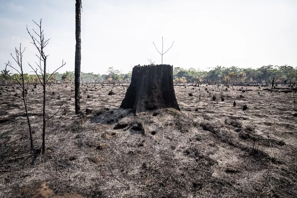 8 dos 10 municípios que mais emitem gases do aquecimento global no Brasil estão na Amazônia