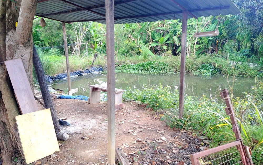 Homem morre afogado após cair em lago em Poços de Caldas, MG