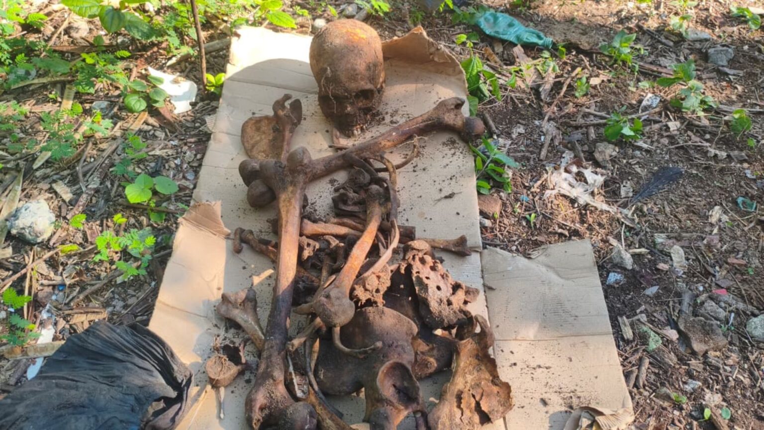 Forças policiais descobrem sepultura ilegal com cadáveres em Rio de Janeiro