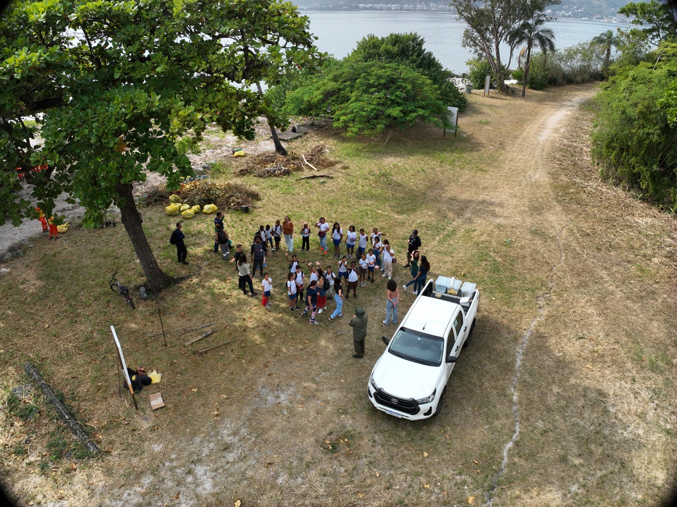 Niterói renasce: 300 árvores trazem esperança a área degradada